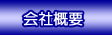 �p�Ԃ̉�ЊT�v